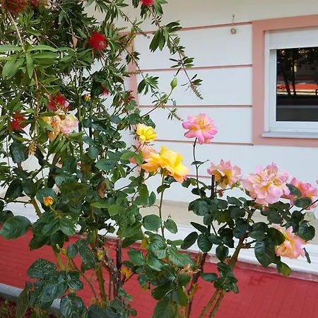 Holiday home Purpleblue Maisonette Loutraki (Corinthia)